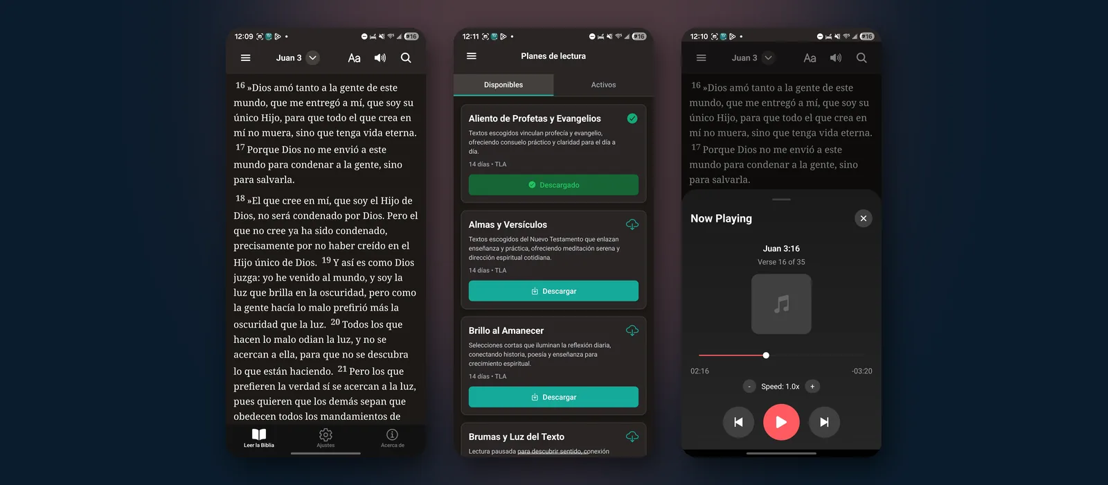 Cómo empezar a leer la Biblia: guía y plan de 14 días